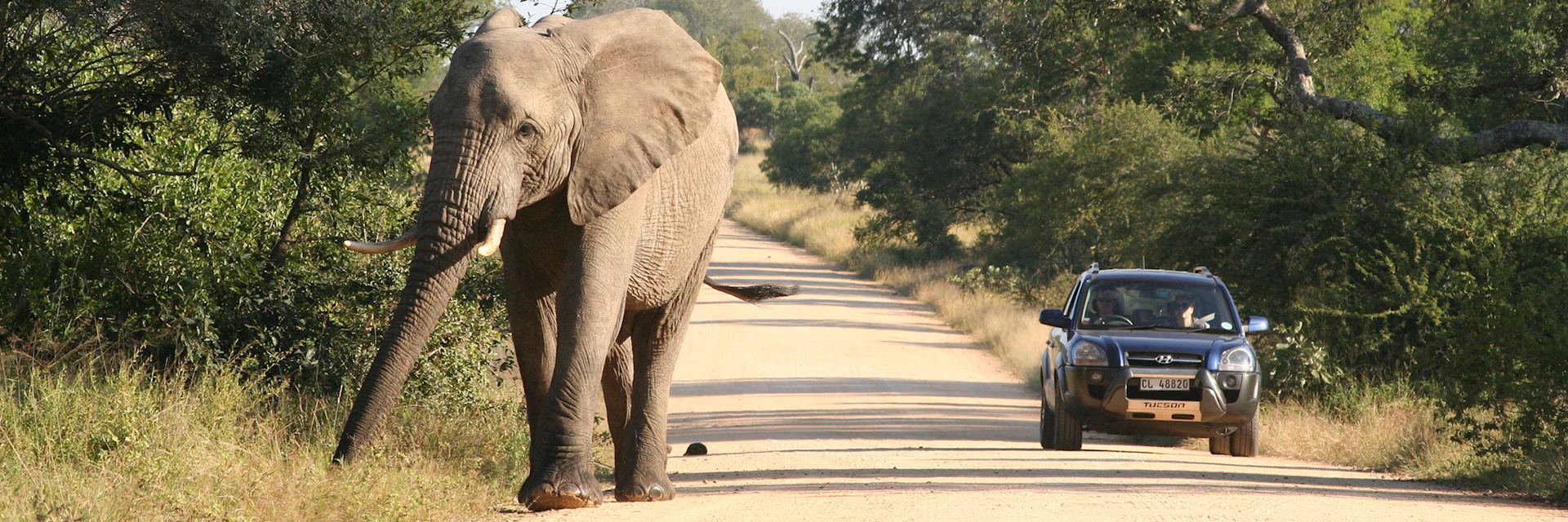 Self-driving in Kruger National Park