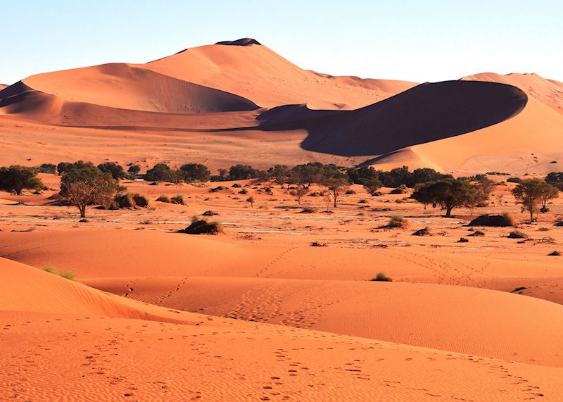 Namib Desert