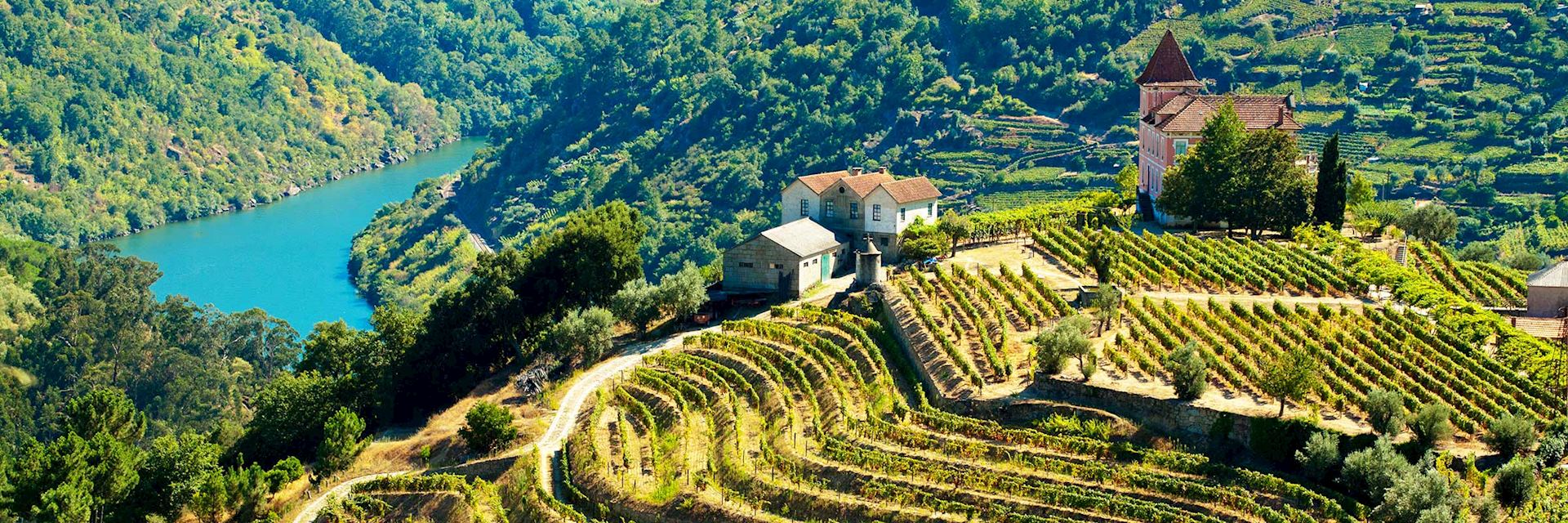 Douro Valley, Portugal