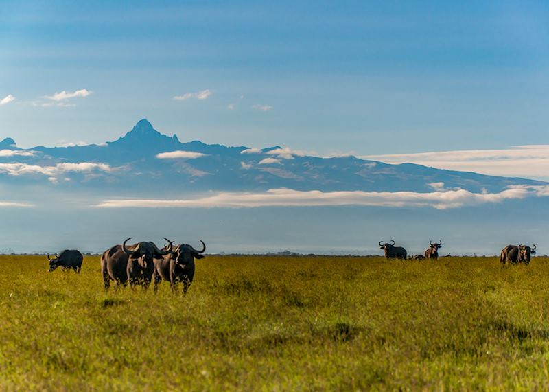 Mount Kenya National Park