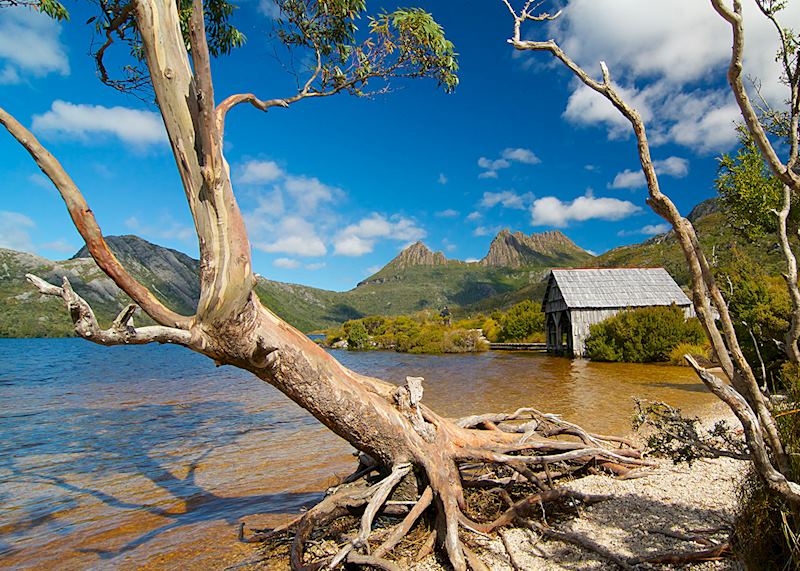 Dove Lake and Cradle Mountain