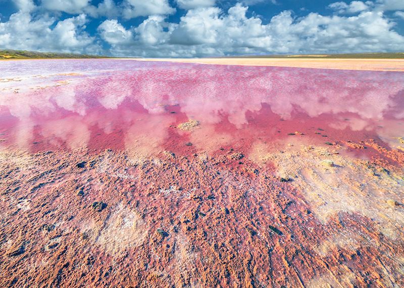Pink Lake