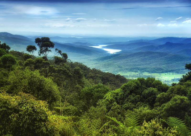 Lamington National Park