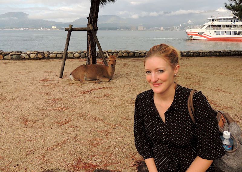 Tesia on Miyajima, Japan