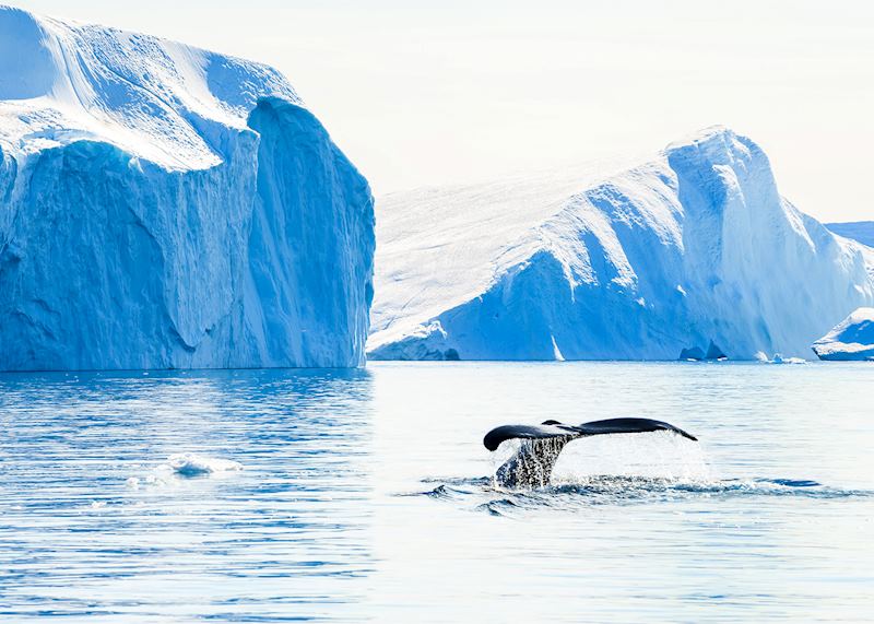 Ilulissat Icefjord
