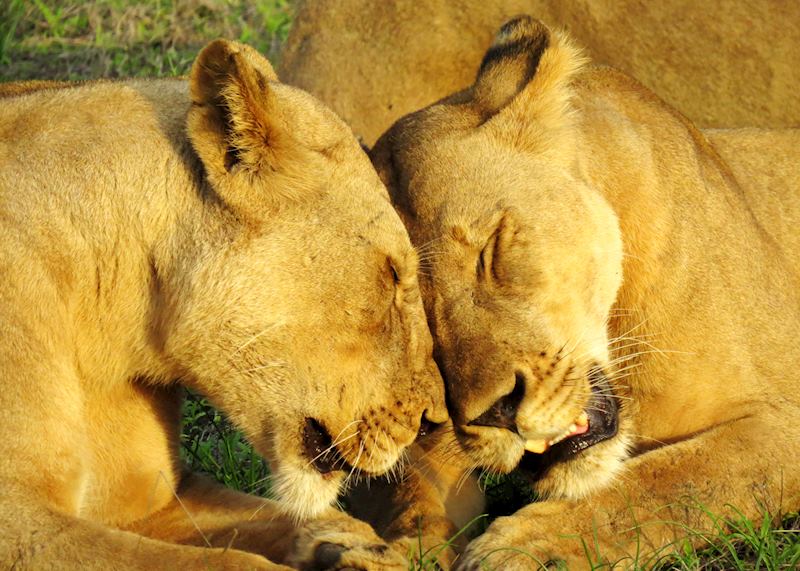 Selous Game Reserve, Tanzania