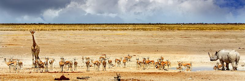 Waterhole in Etosha National Park, Namibia