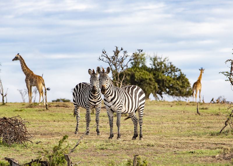 Mara North Conservancy