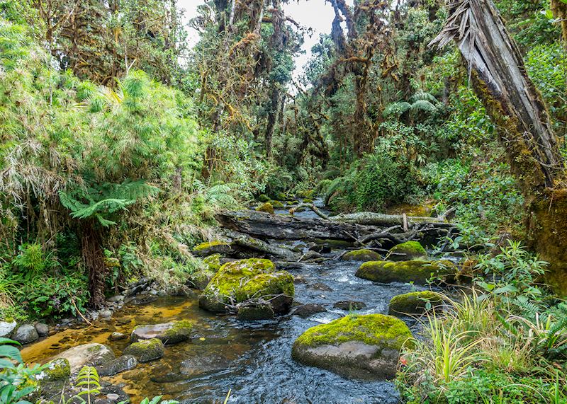 Valle del Silencio (Valley of Silence) in the Talamanca Mountains