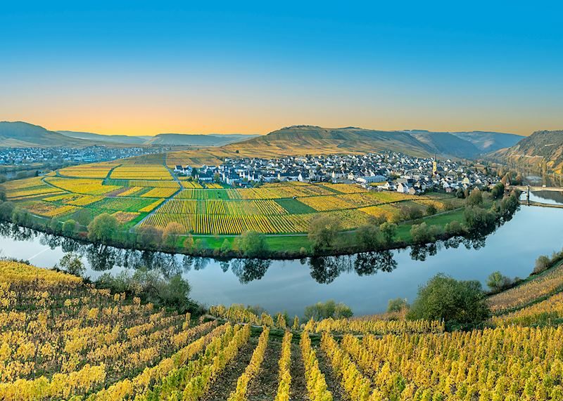 Vineyards of the Moselle Valley, Luxembourg