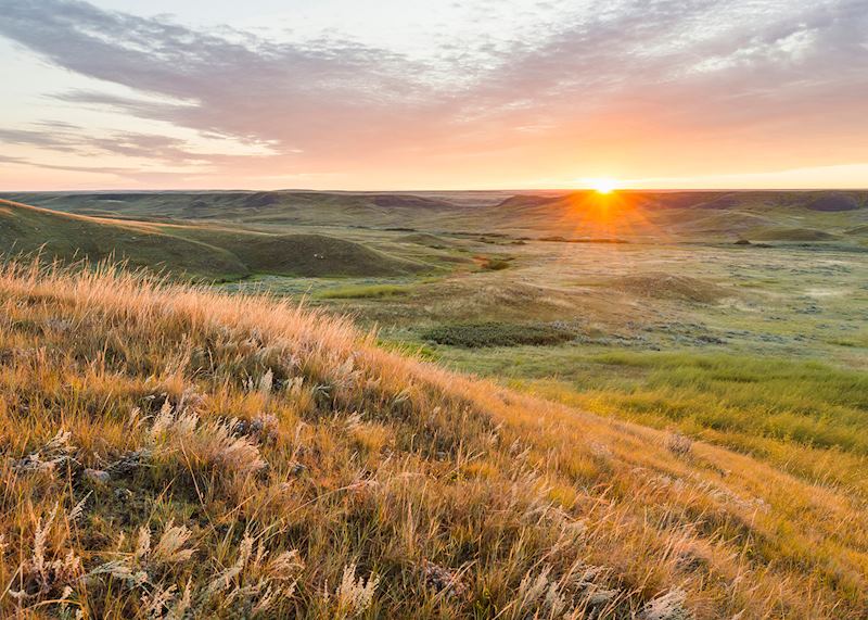 Grasslands National Park
