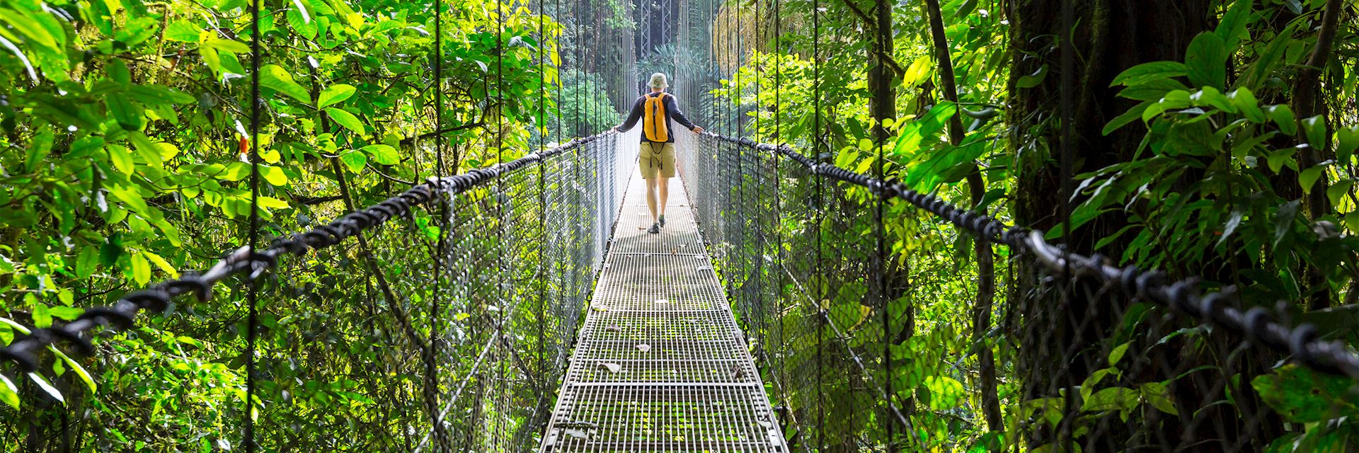 Hanging bridge walk, Costa Rica