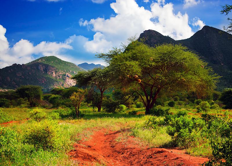 Tsavo West National Park