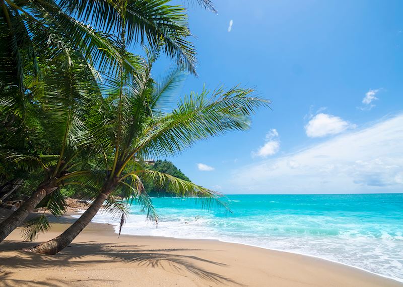 Coconut Island