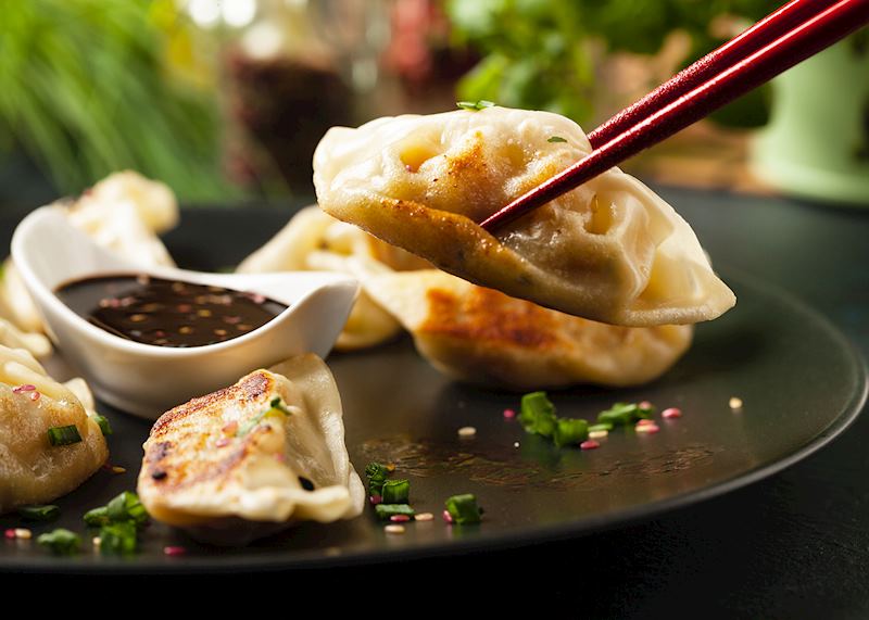 Chicken gyoza, Japan