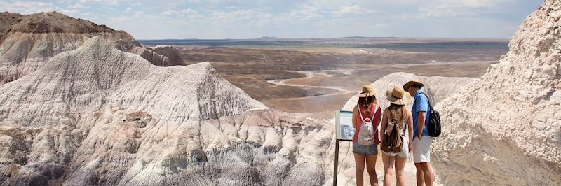 Petrified Forest National Park, Arizona