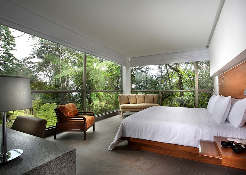 Mashpi Lodge, Cloudforest, Ecuador