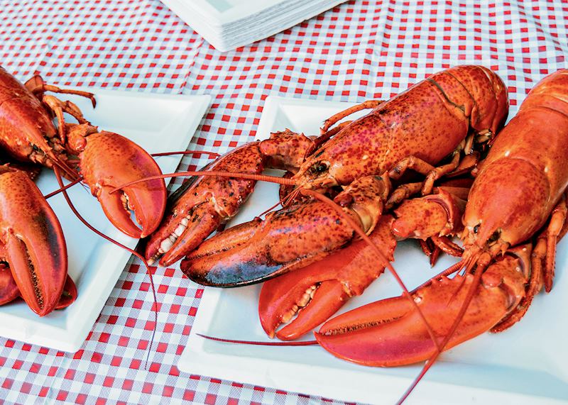 Lobster, Shediac, New Brunswick, Canada