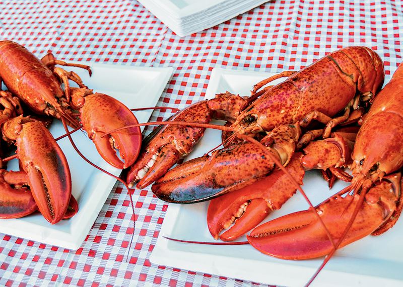 Lobster, Shediac, New Brunswick
