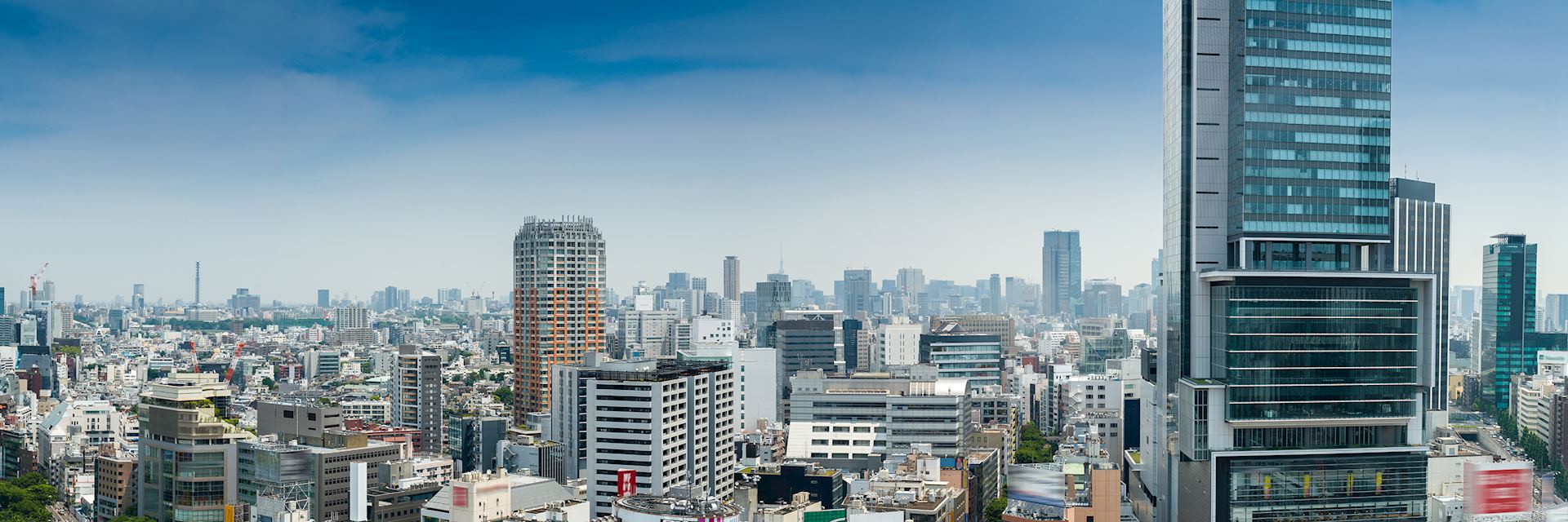 Tokyo skyline from Shibuya Sky