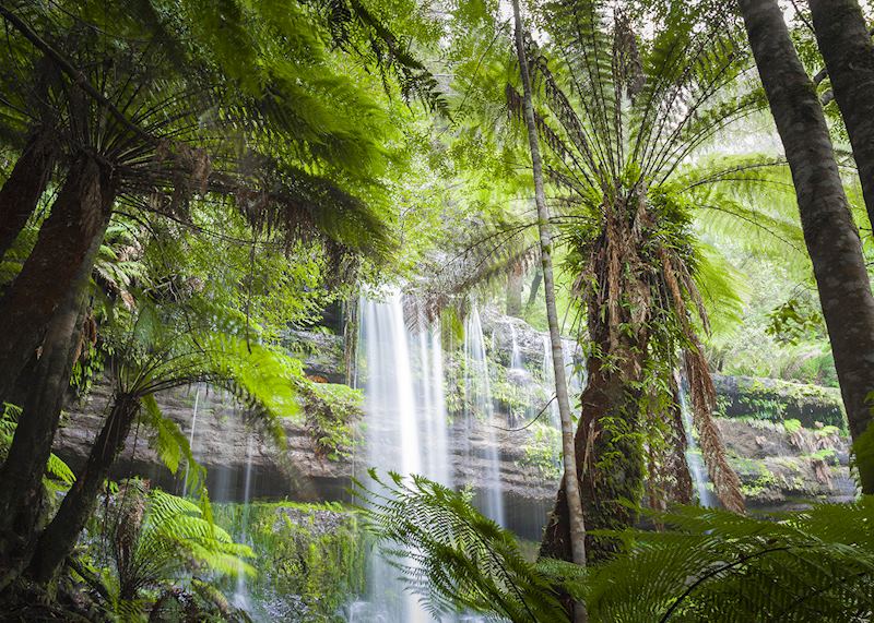 Russell Falls, Mount Field National Park
