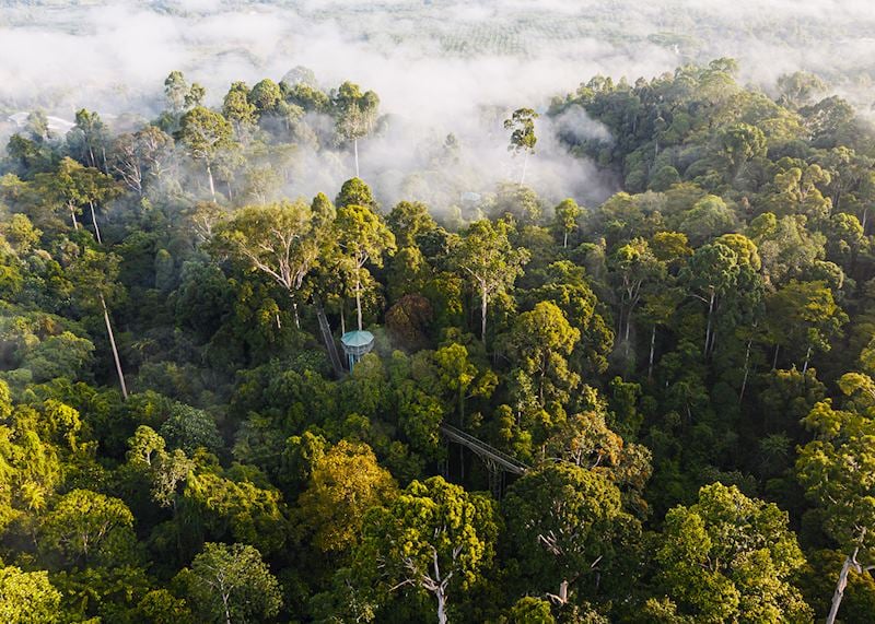 Deramakot Forest Reserve