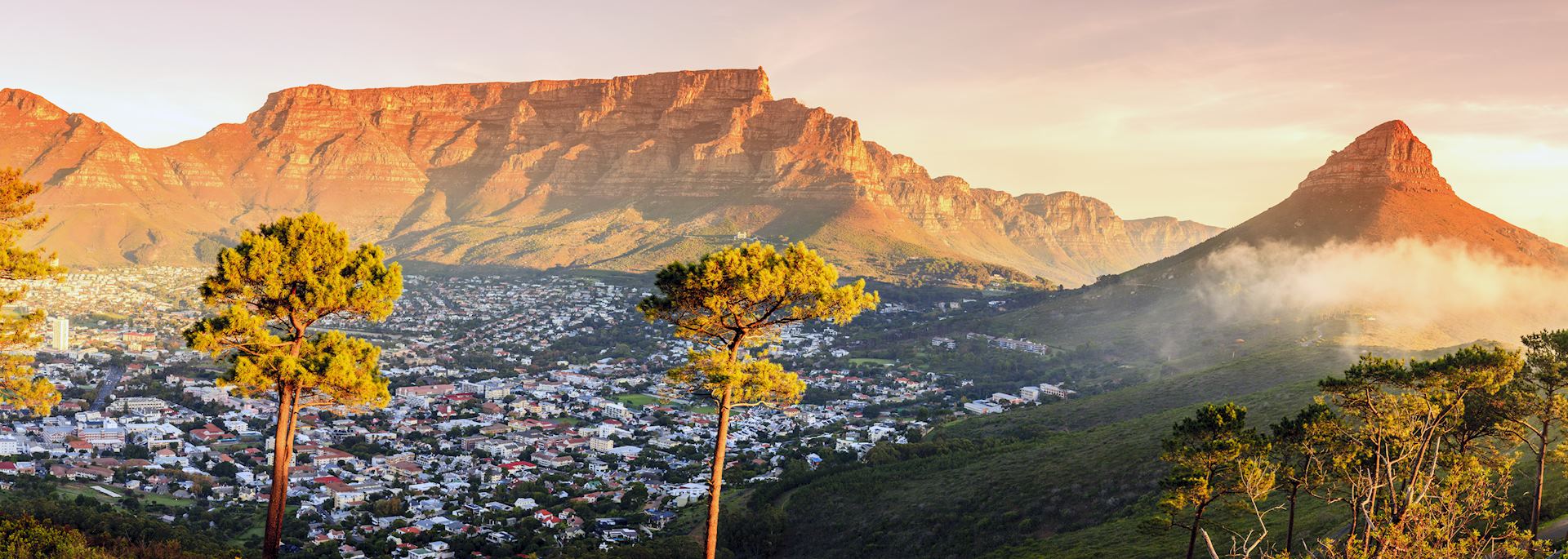 Table Mountain and Lions Head