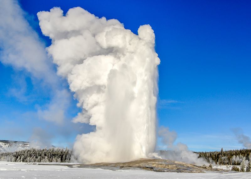 Old Faithful Geyser, Yellowstone National Park
