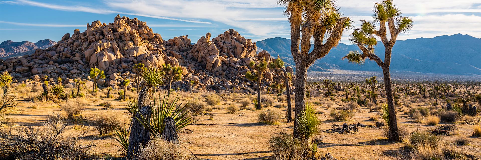 History of Palm Desert and the Greater Palm Springs area - Visitor