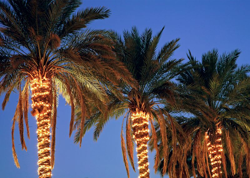 Palm trees with Christmas lights, Greater Palm Springs