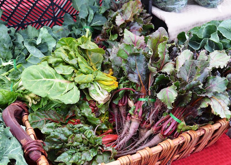 Selection of radishes, chard, and salad greens, Palm Springs