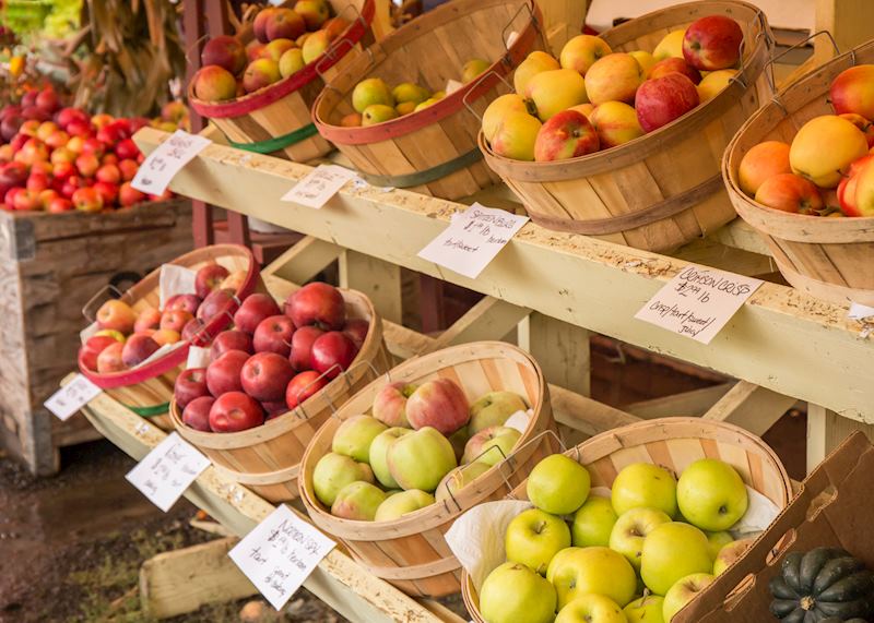 Local farmers' market, Oregon