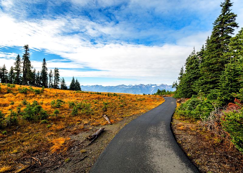 Hurricane Ridge, Olympic National Park