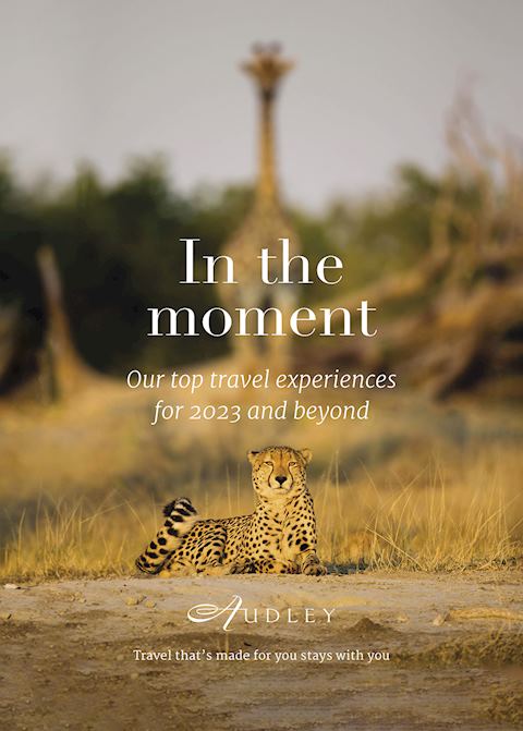 In the Moment Brochure Cover