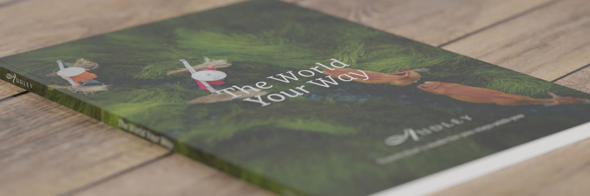 The World Your Way Brochure