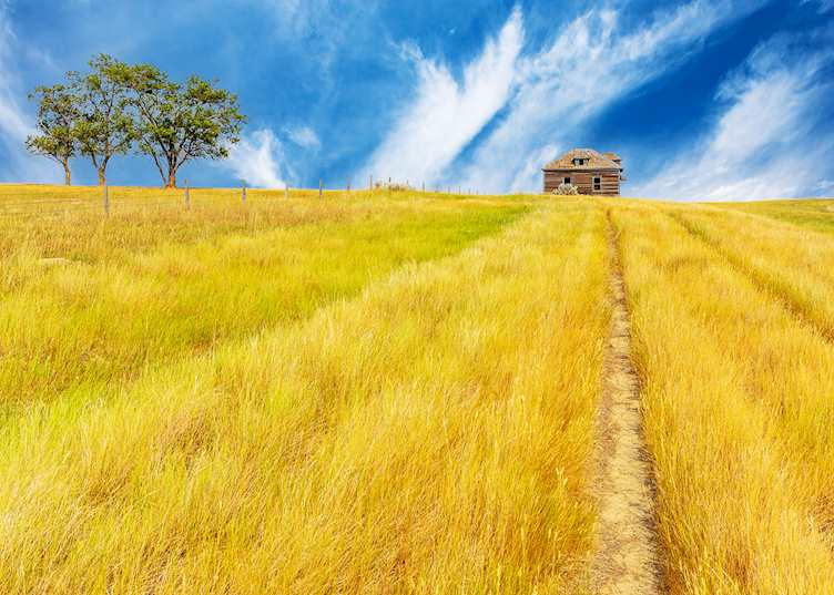Prairies, Saskatchewan