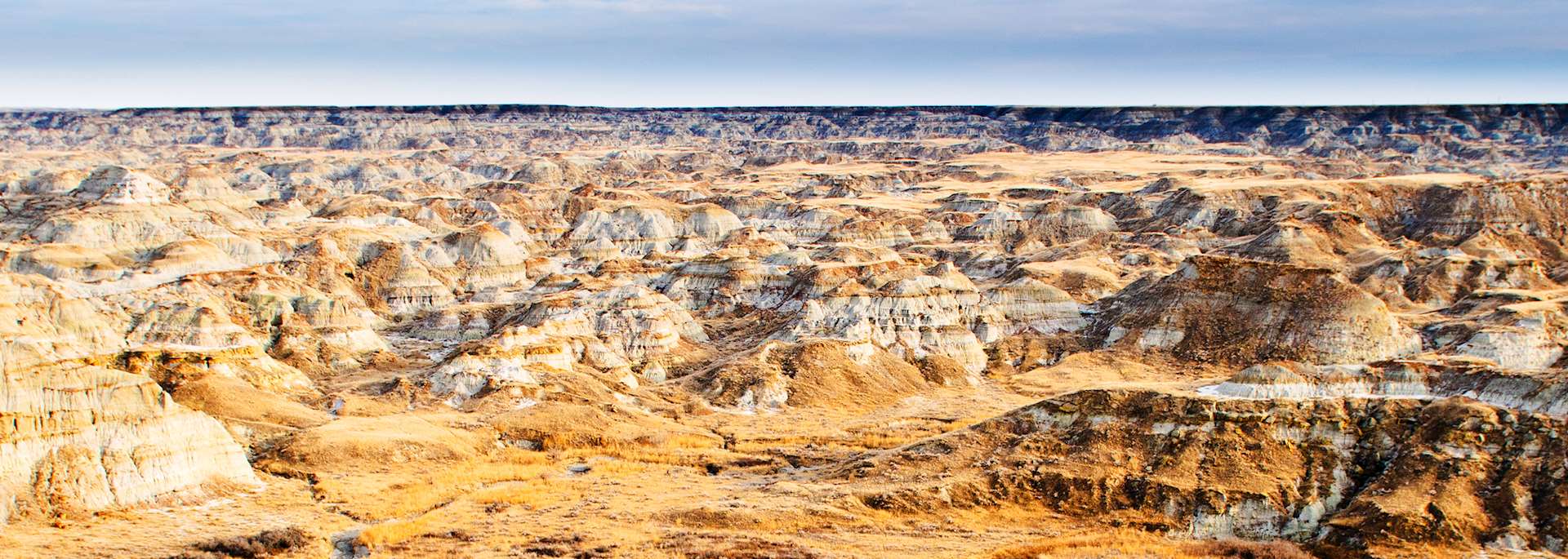 Dinosaur Provincial Park
