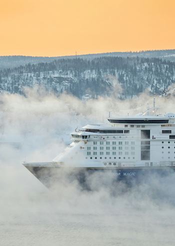 Cruise ship