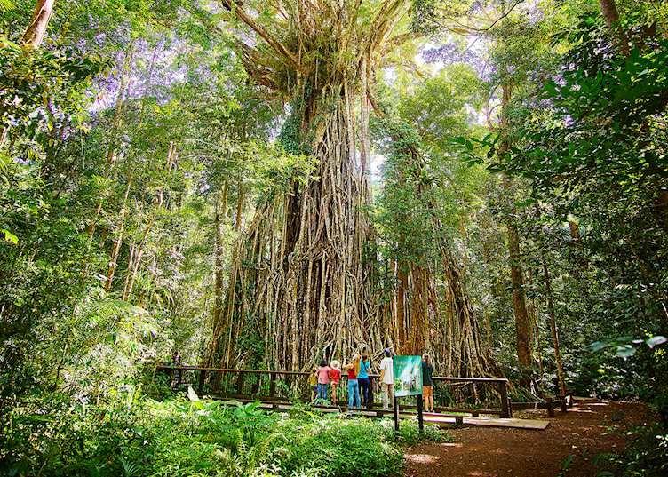 Cairns, Queensland — © Tourism Australia
