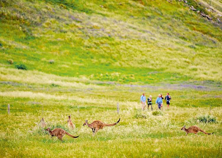 Fleurieu Peninsula, South Australia — © Tourism Australia
