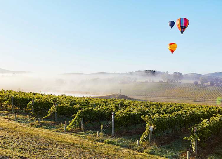 Yarra Valley, Victoria — © Tourism Australia