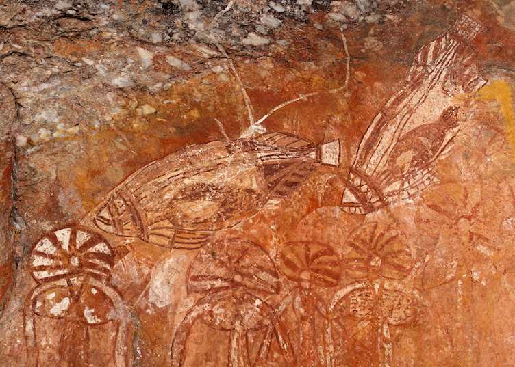 Aboriginal rock art depicting fishes in Kakadu National Park, Northern Territory