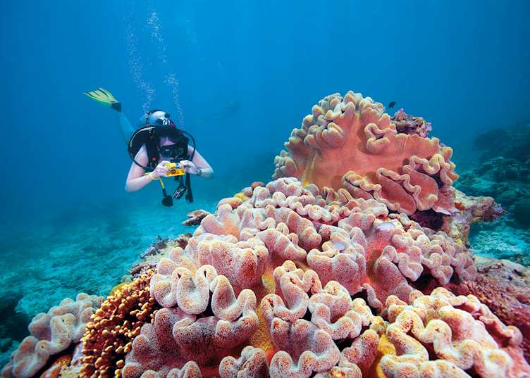 Great Barrier Reef, Queensland