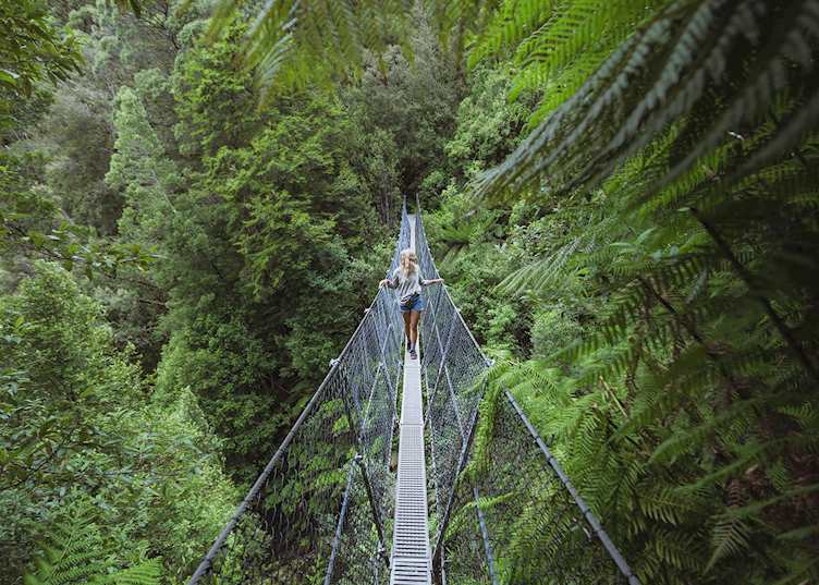 Montezuma Falls, Tasmania