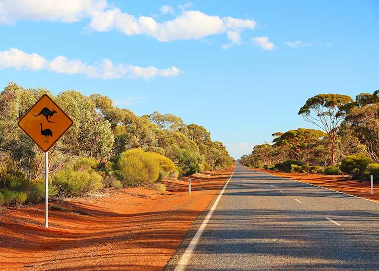 Outback road