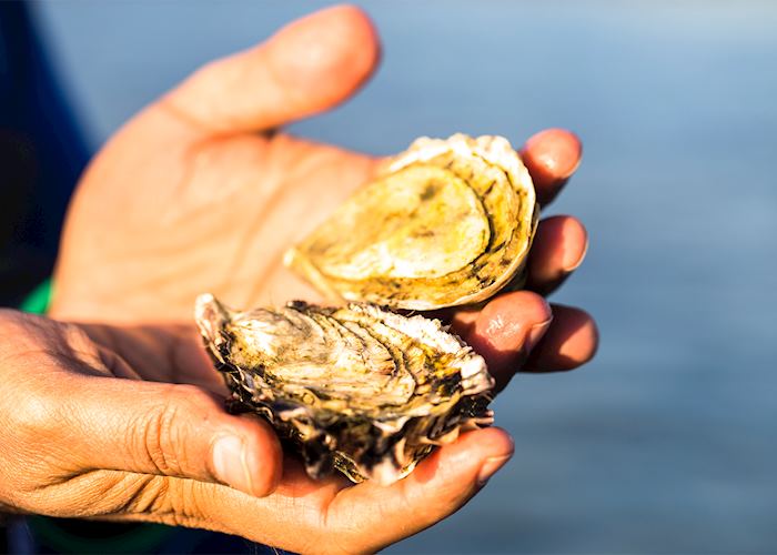 Freycinet Marine Farm, Tasmania — © Tourism Tasmania & Andrew Wilson