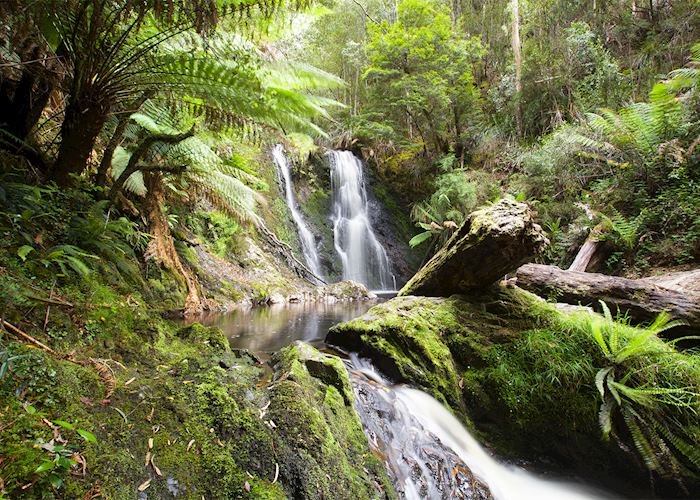 Hogarth Falls, Tasmania — © Pete Harmsen