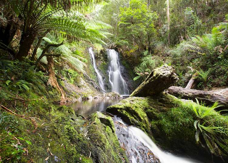 Hogarth Falls, Tasmania — © Pete Harmsen