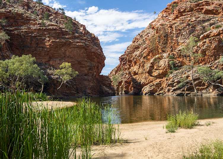 Billabong near Alice Springs