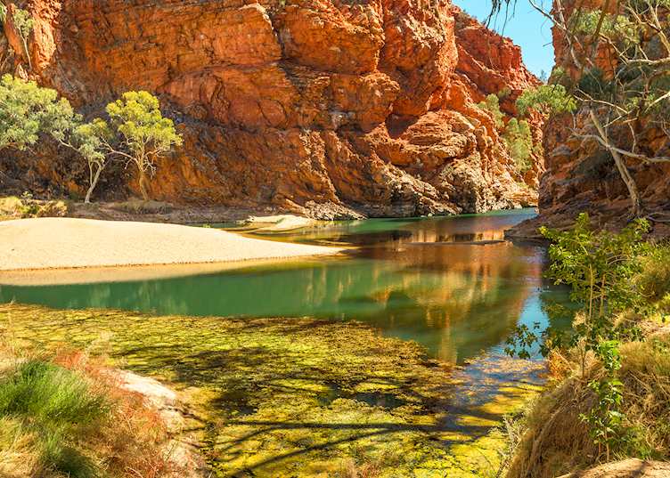 Billabong in West MacDonnell National Park